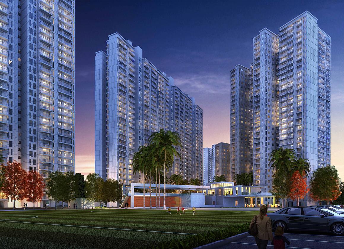 Lotus Greens Lotus Green - Image 4