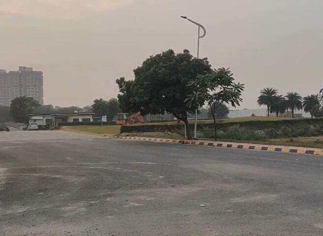 Green Bay The Monarque - Image 20