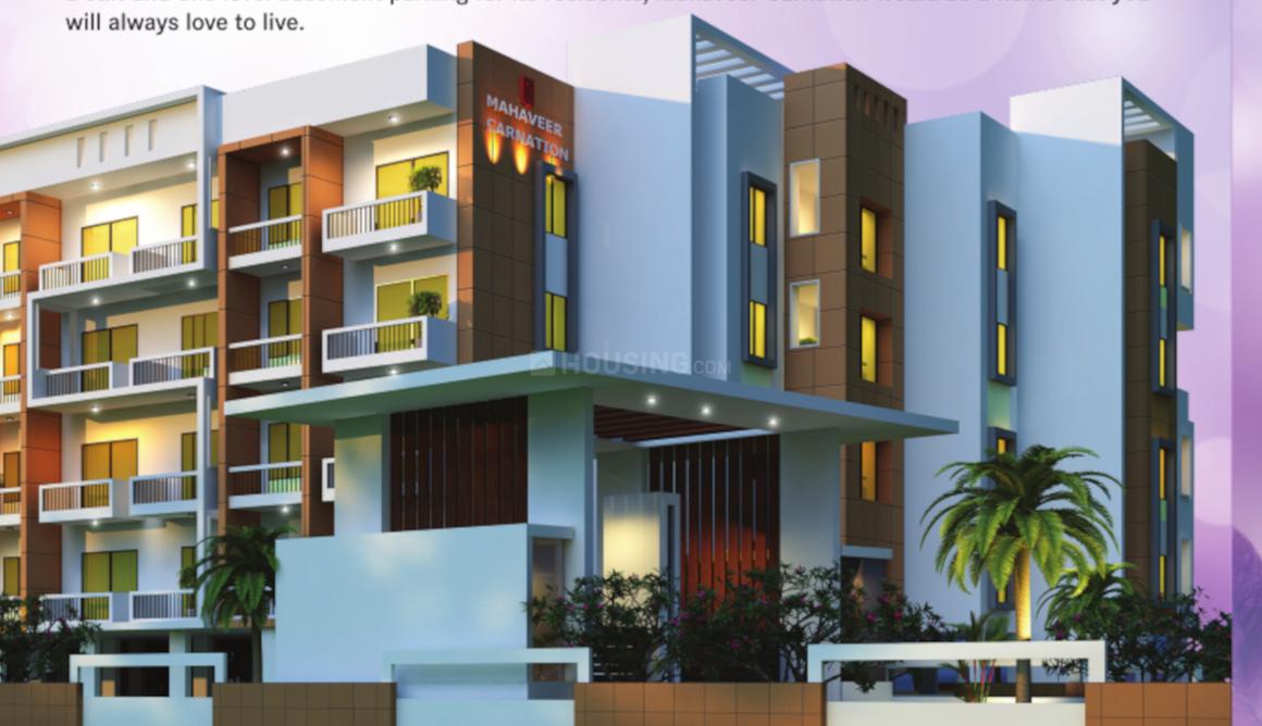 Mahaveer Carnation - Image 7