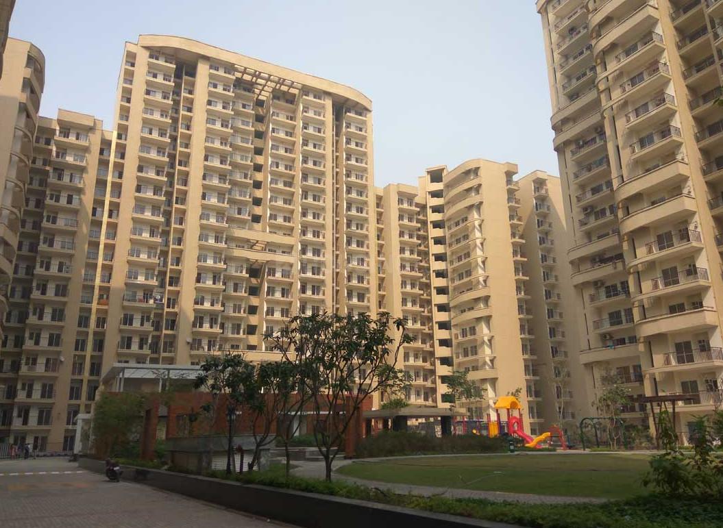 Aims Golf Avenue - Image 2