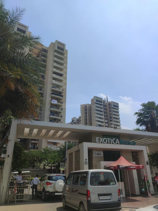 Exotica Fresco - Image 35