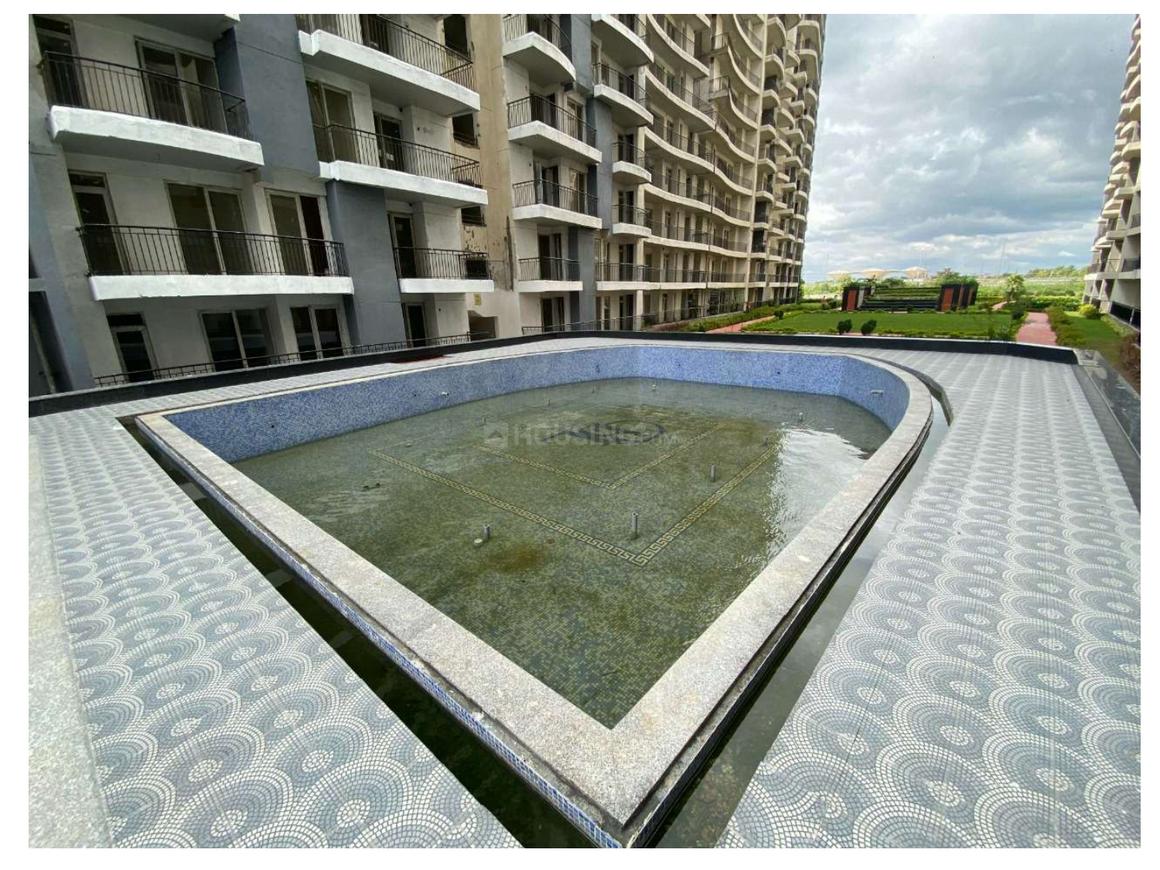 Home And Soul Beetle Lap - Image 12