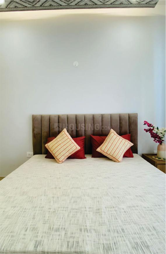 Beetle Orchid - Image 5