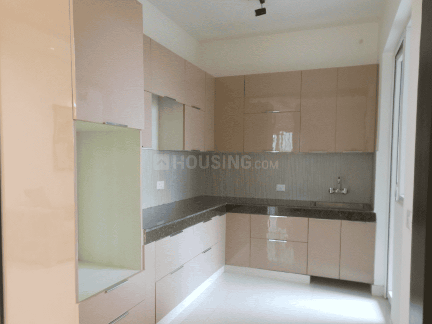 AIG Aigin Royal - Image 26