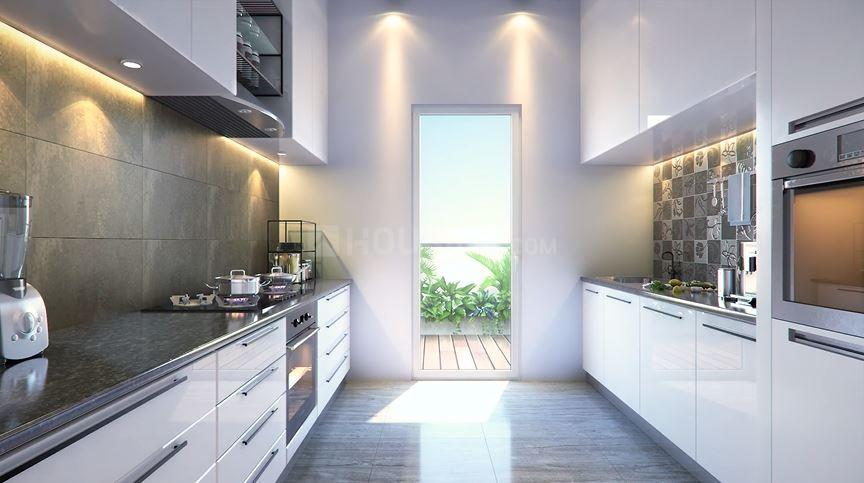 Prateek Canary - Image 6