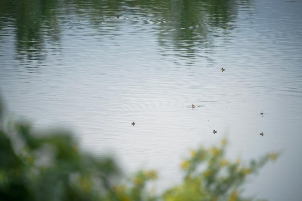 Keya Life By The Lake - Image 64