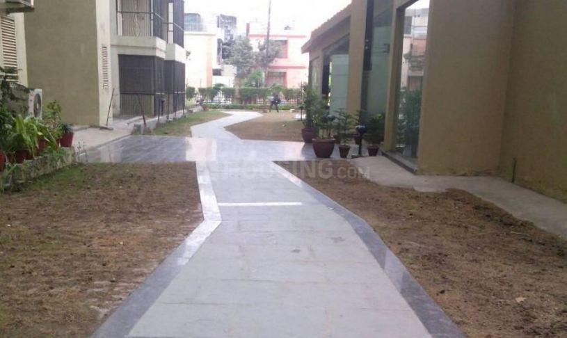 Prateek Fedora - Image 5