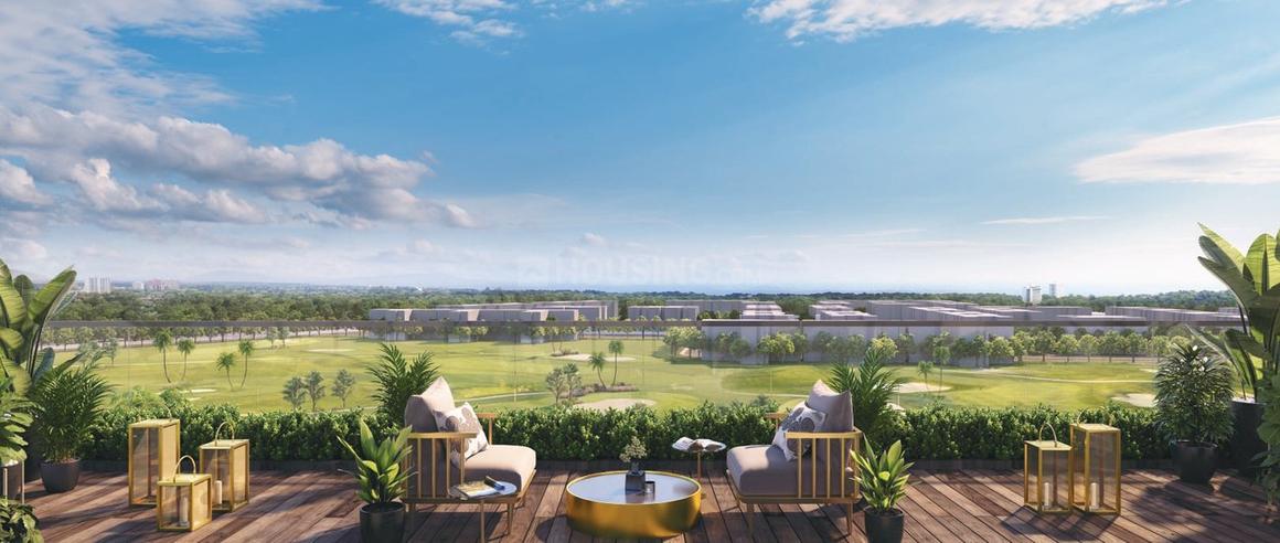 Prateek Canary - Image 15