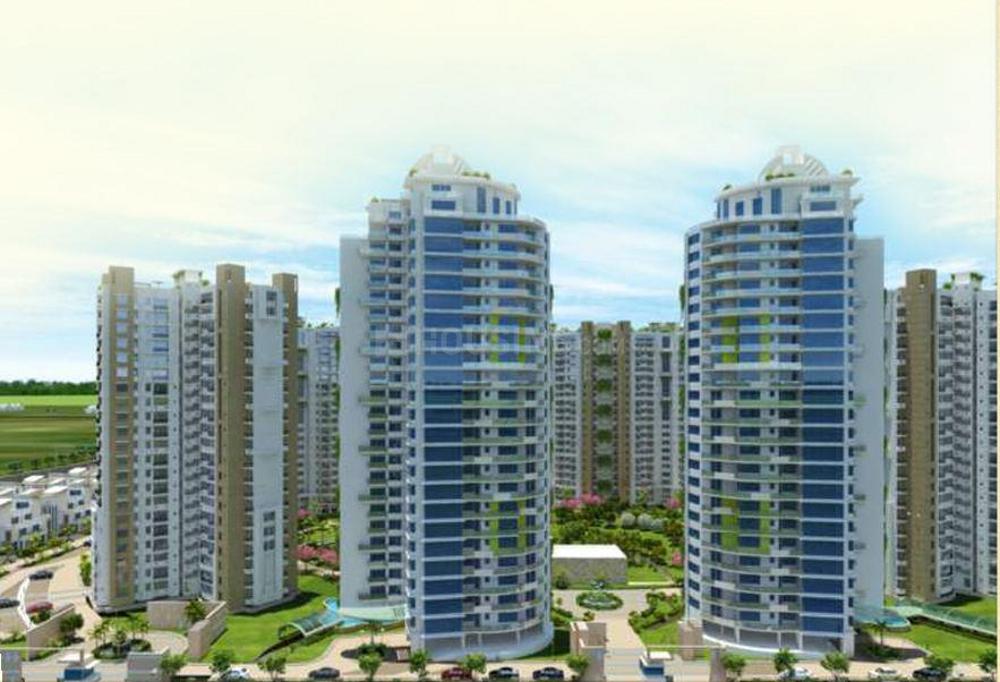 Logix Blossom Greens - Image 4