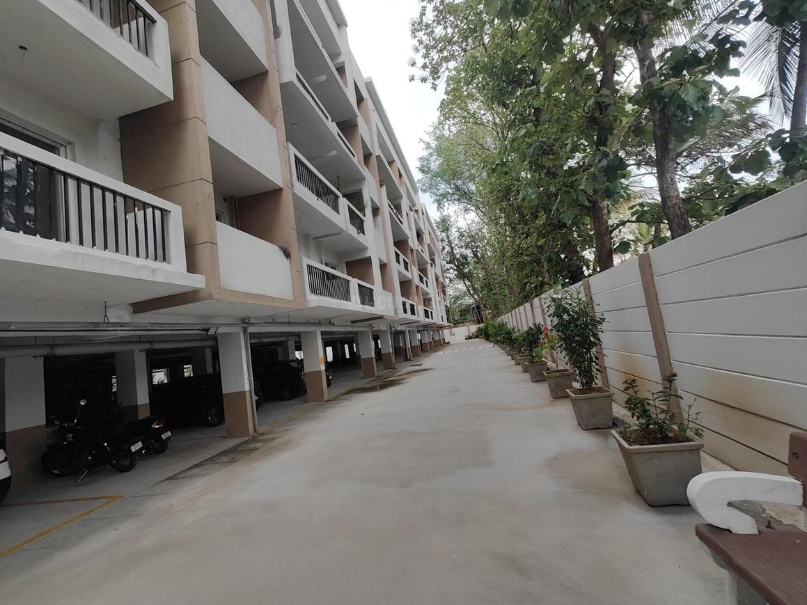 Mahaveer Carnation - Image 16