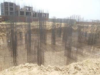 Bulland Calisto - Image 5