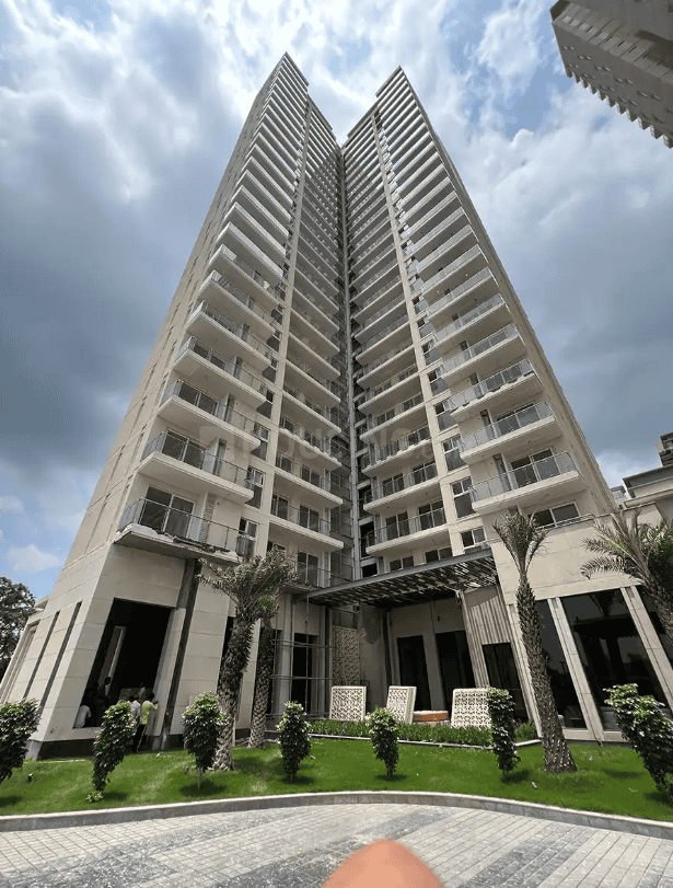 ACE Ace Starlit - Image 31