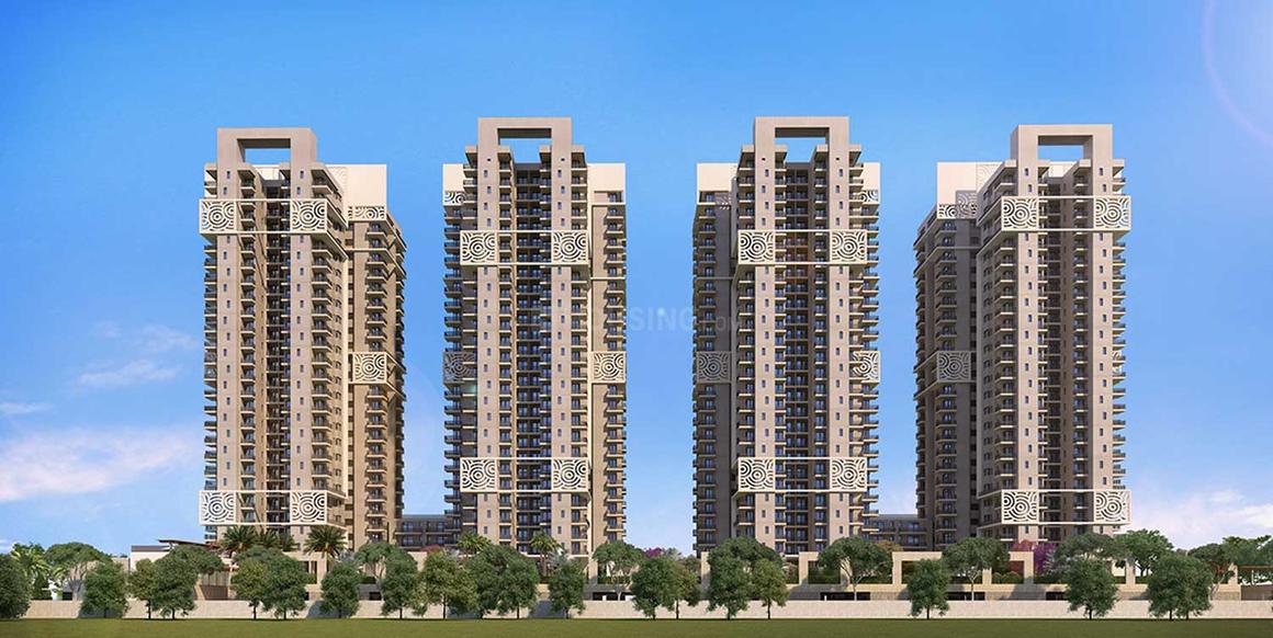 Ratan Pearls - Image 6