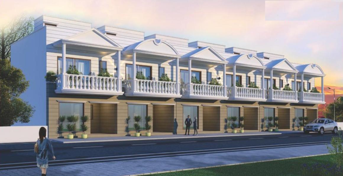 Aambesten Twin Clarus - Image 4