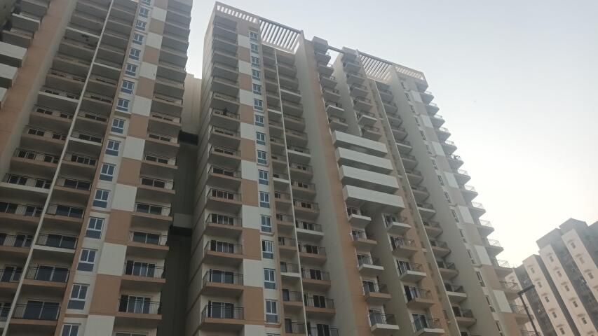 City Grace - Image 20