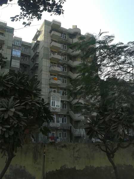 Stellar Greens - Image 3