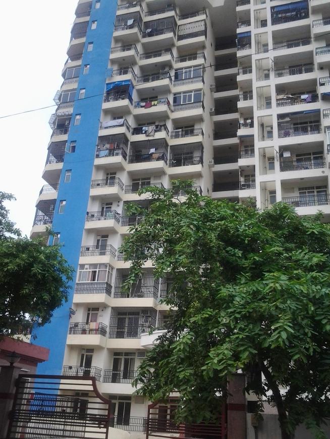 Gardenia Grace - Image 5