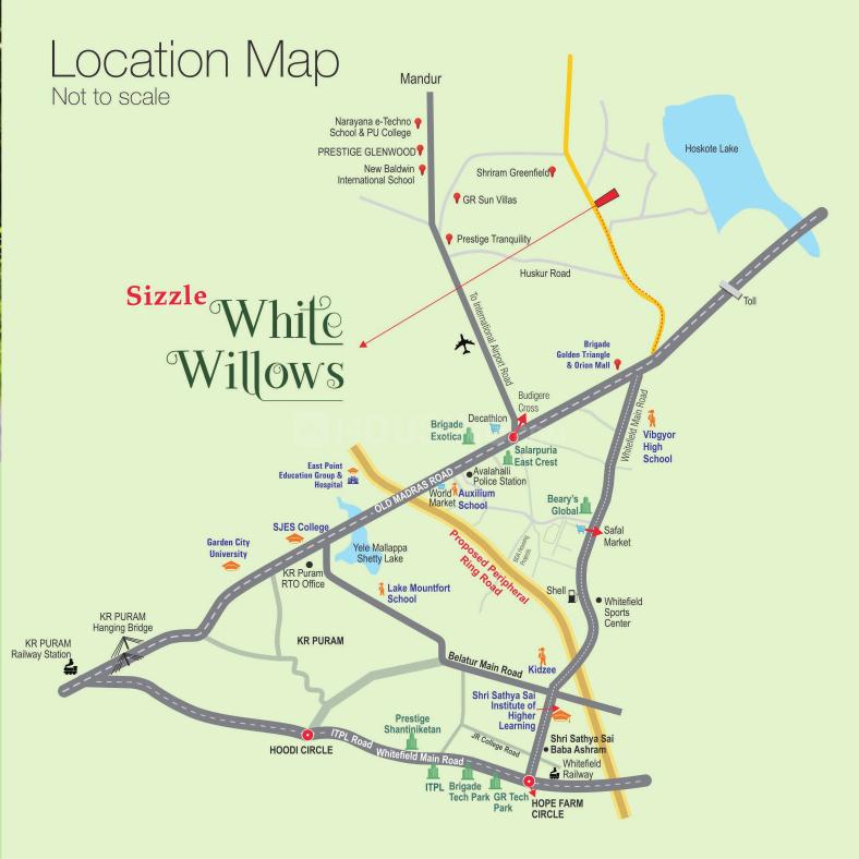 Sizzle White Willows - Image 16