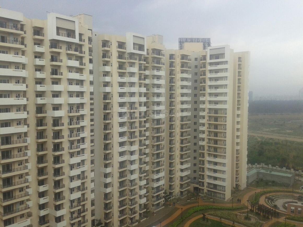 Exotica Fresco - Image 7