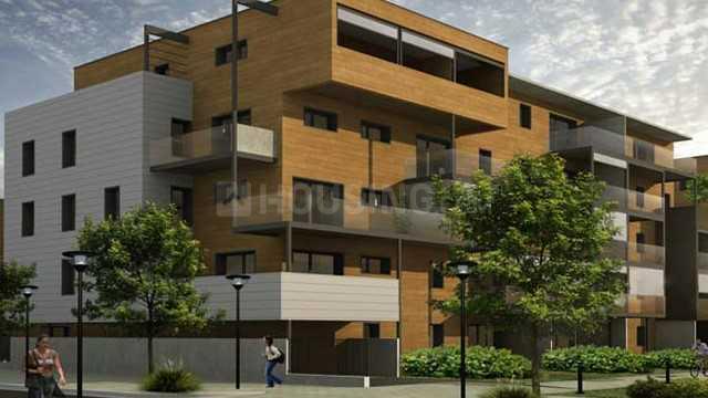 Vardhman Camellias - Image 5