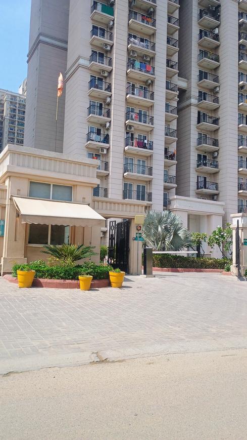 ATS Dolce - Image 29