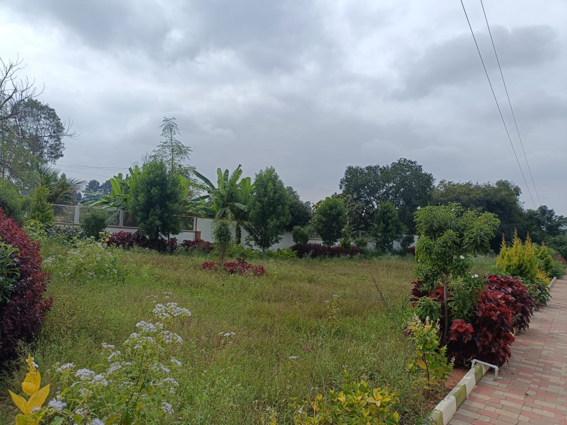 Windsor Township Phase 3 - Image 27
