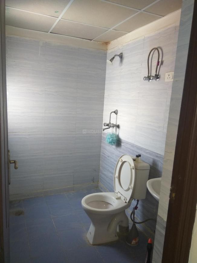 Stellar Greens - Image 15