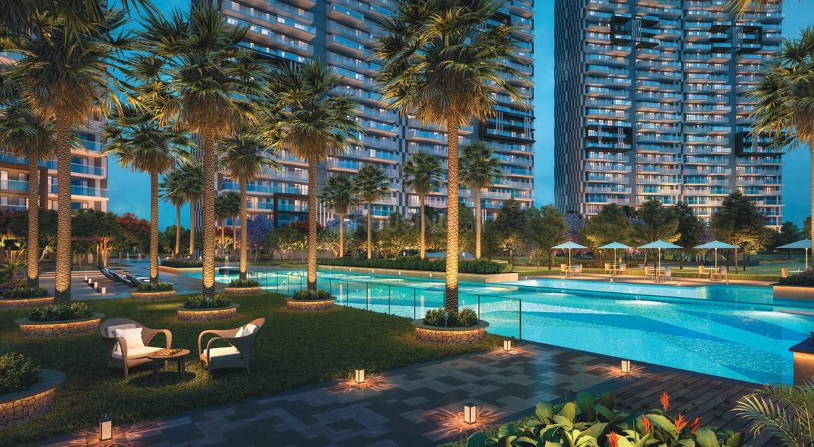 Prateek Canary - Image 16