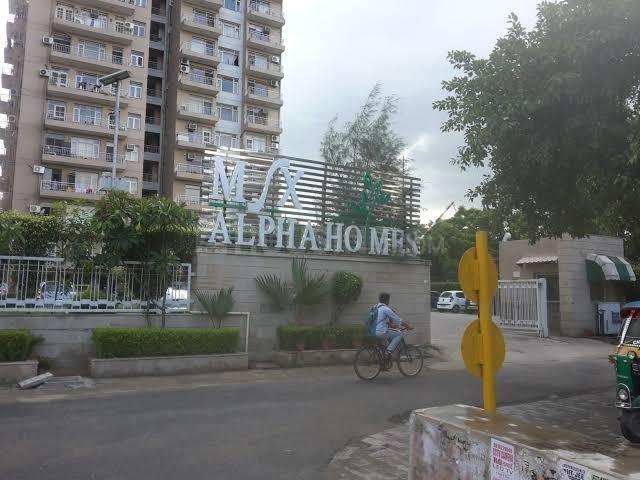 MSX Group Alpha Homes - Image 4