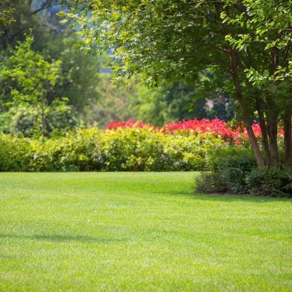 Mansan Aspire Homes - Image 11