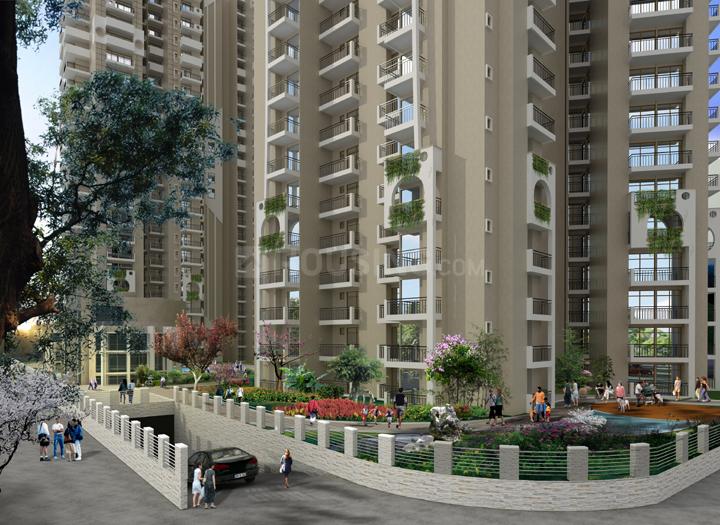Keltech Kumar Imperial Greens - Image 7