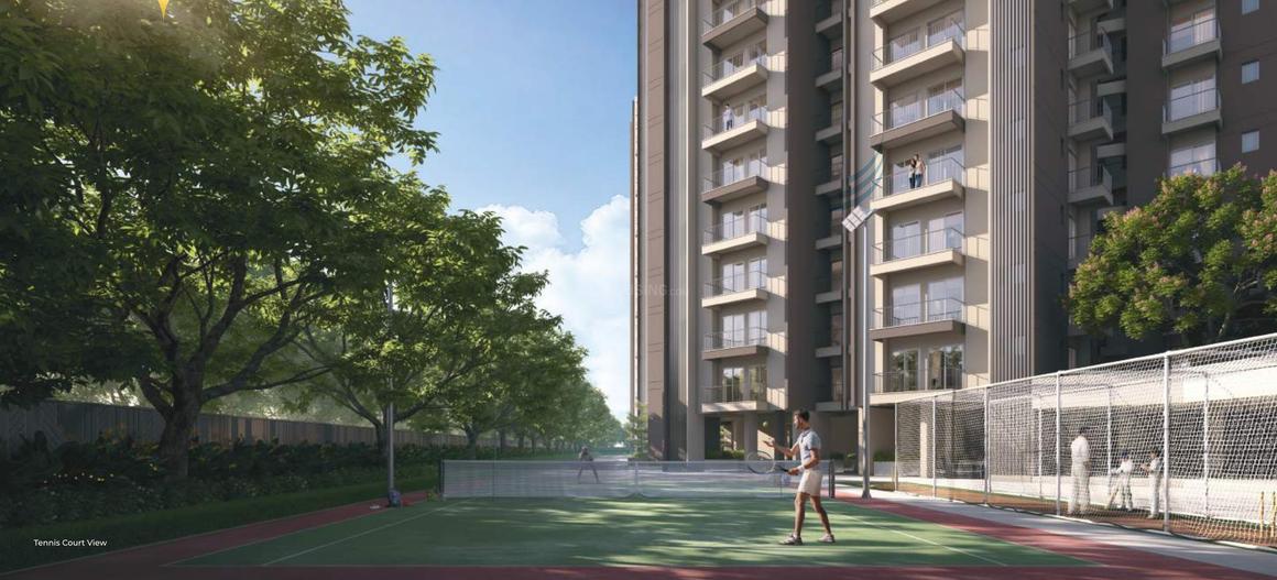 RG Pleiaddes - Image 11