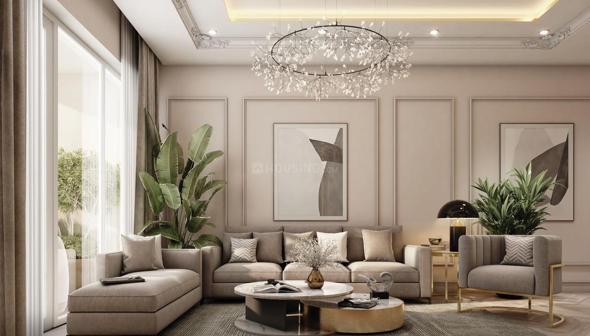 Ivory County - Image 4