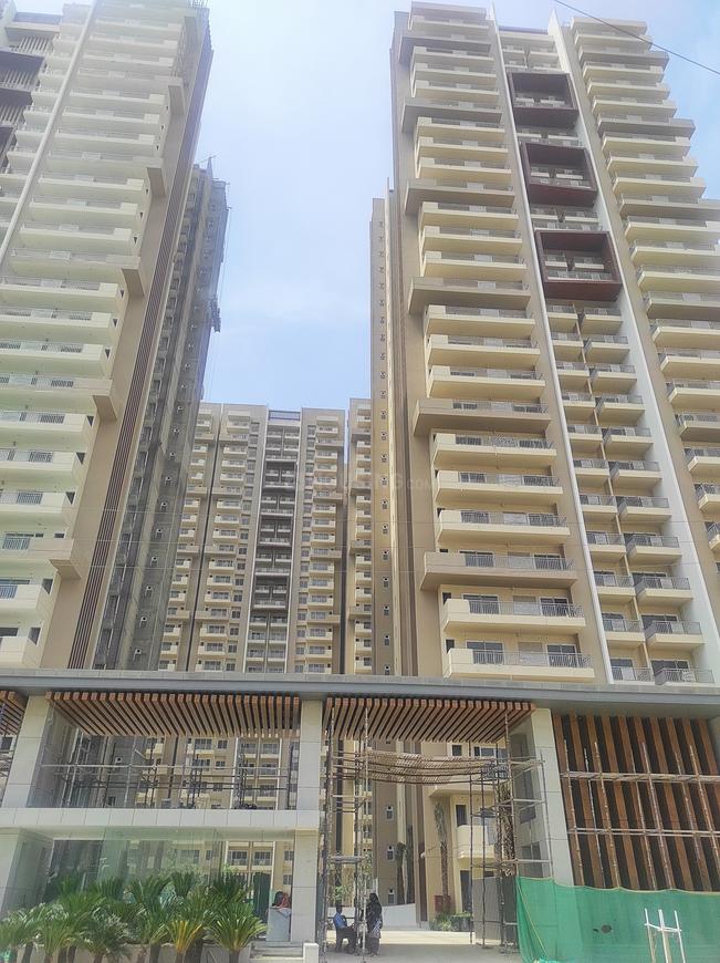 IVY County - Image 30