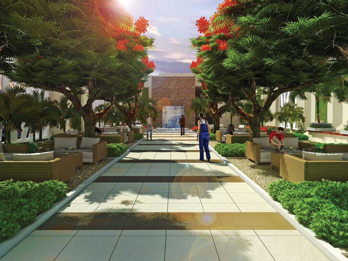 Saha Amadeus - Image 9