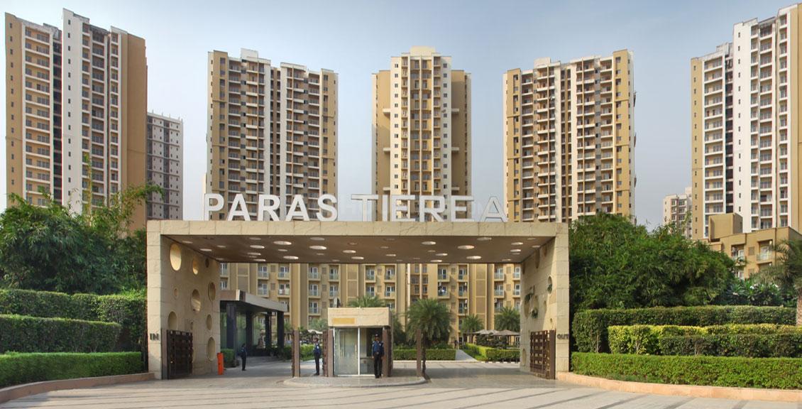 Paras Tierea - Image 5