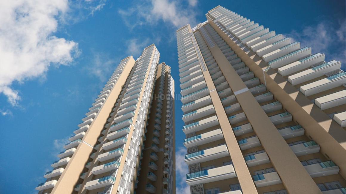 Irish Pearls - Image 4