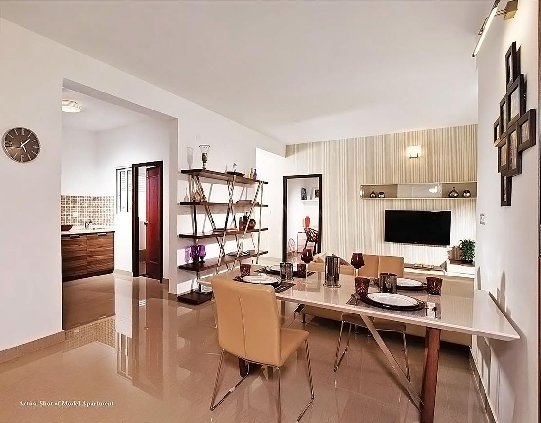 SJR Hamilton Homes - Image 26