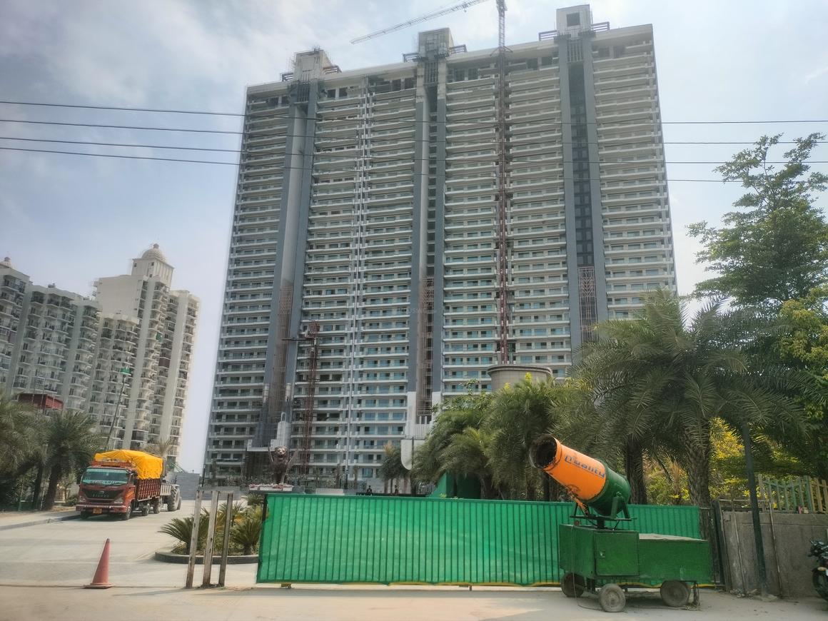 Gulshan Dynasty - Image 17