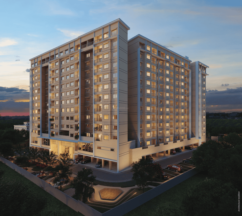Century Novus - Image 3