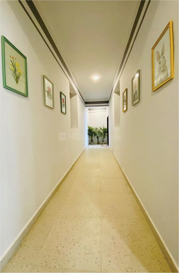 Beetle Orchid - Image 19