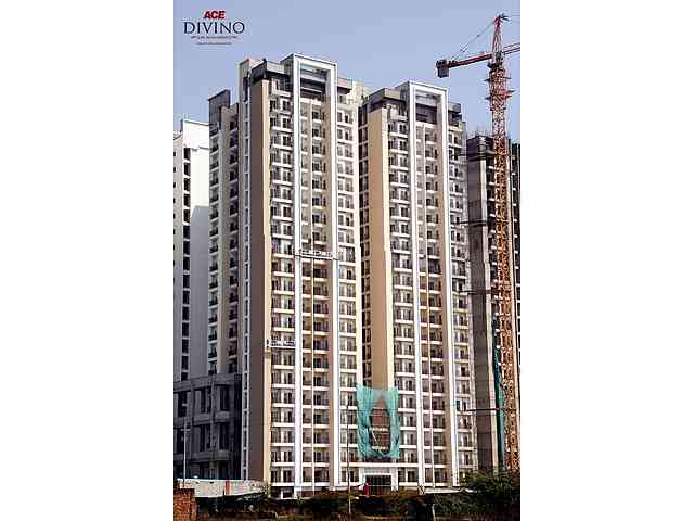 ACE Divino - Image 52