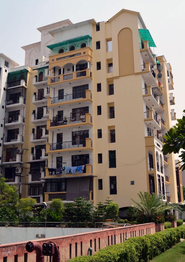 Amrapali Exotica - Image 9