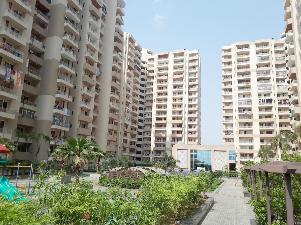 ACE Group Platinum Zeta 1 - Image 13