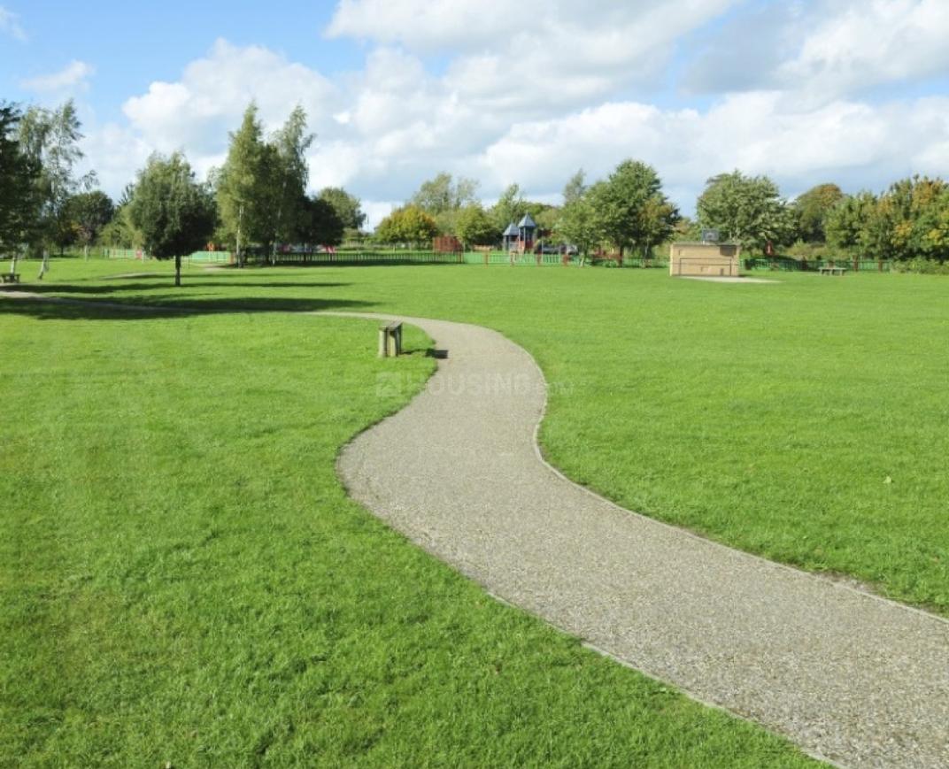 Galaxy Royale - Image 16