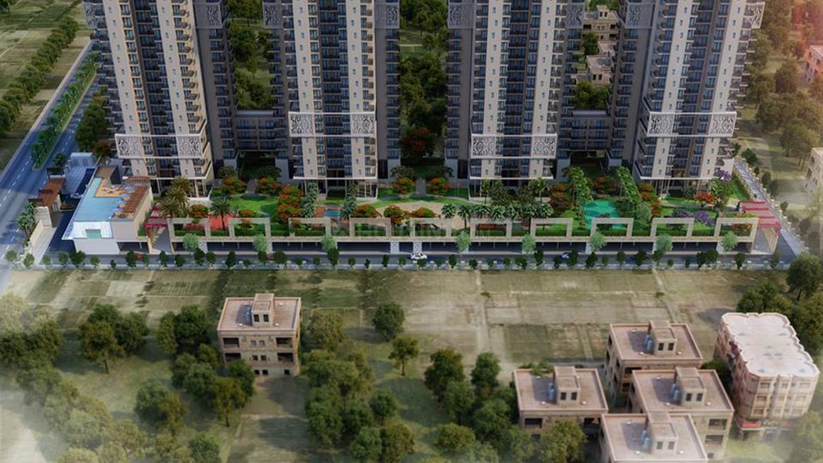 Ratan Pearls - Image 21