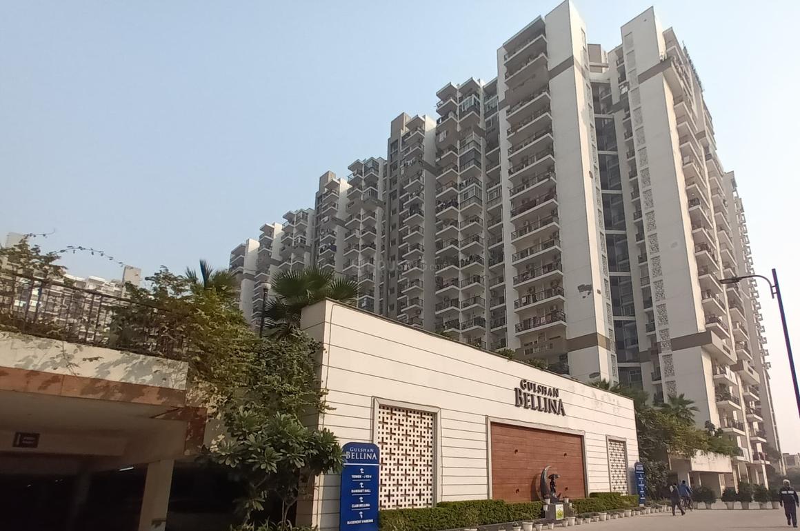 Gulshan Bellina - Image 4