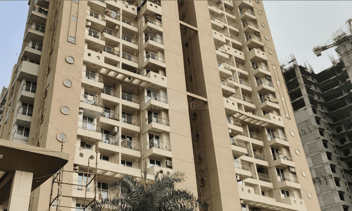 Sikka Kaamna Greens - Image 5