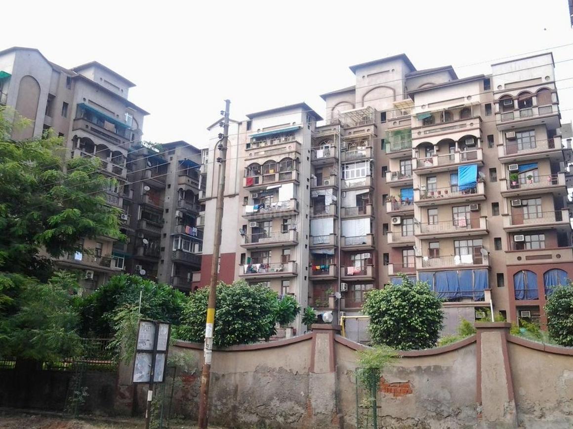 Amrapali Exotica - Image 10