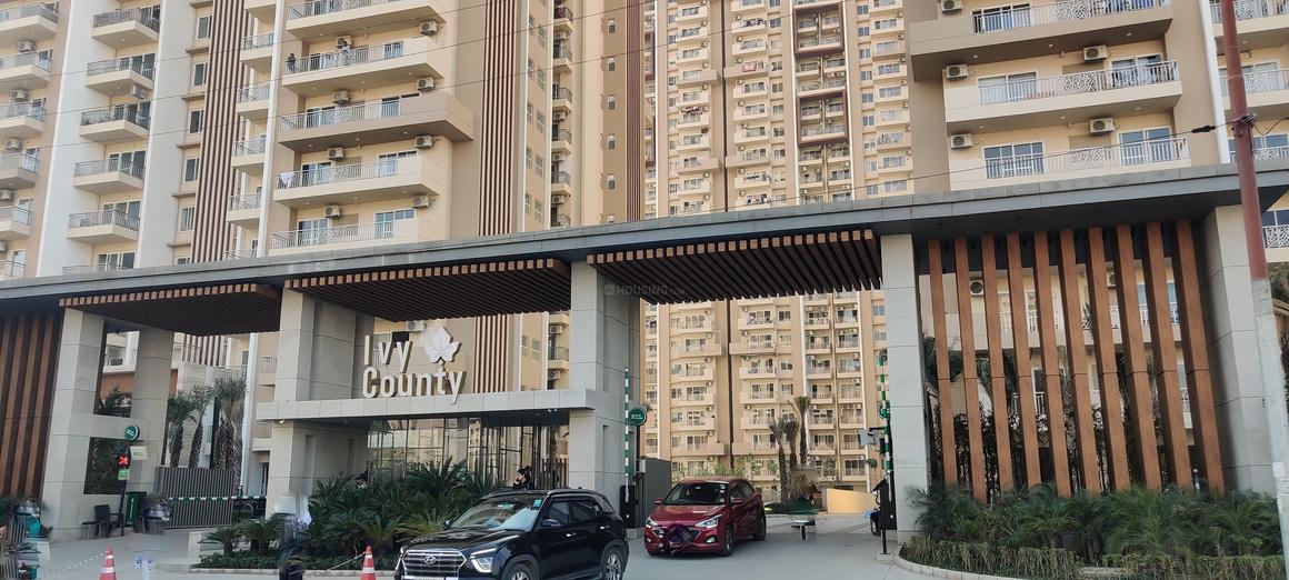 IVY County - Image 5